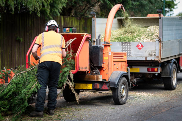 Best Leaf Removal  in Blawnox, PA